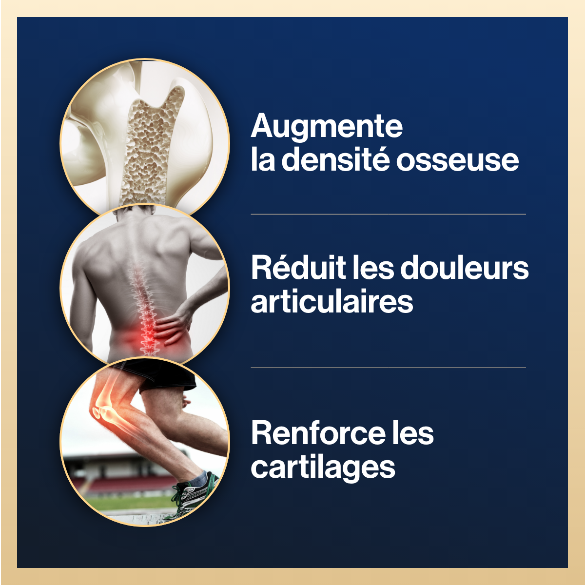 Collagène Marin Hydrolysé Peptan® - Compléments alimentaires bien-être - 120 gélules - KÓFUCHÎ